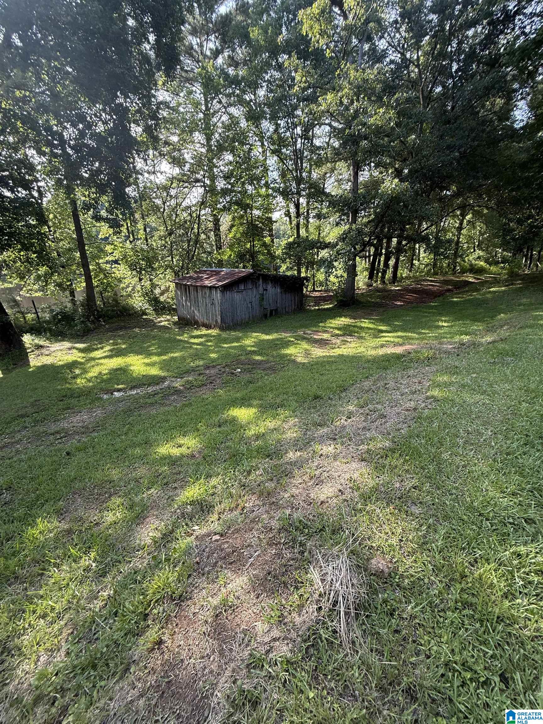 405 Narrows Road Remlap, AL 35133 - Photo 13 of 13