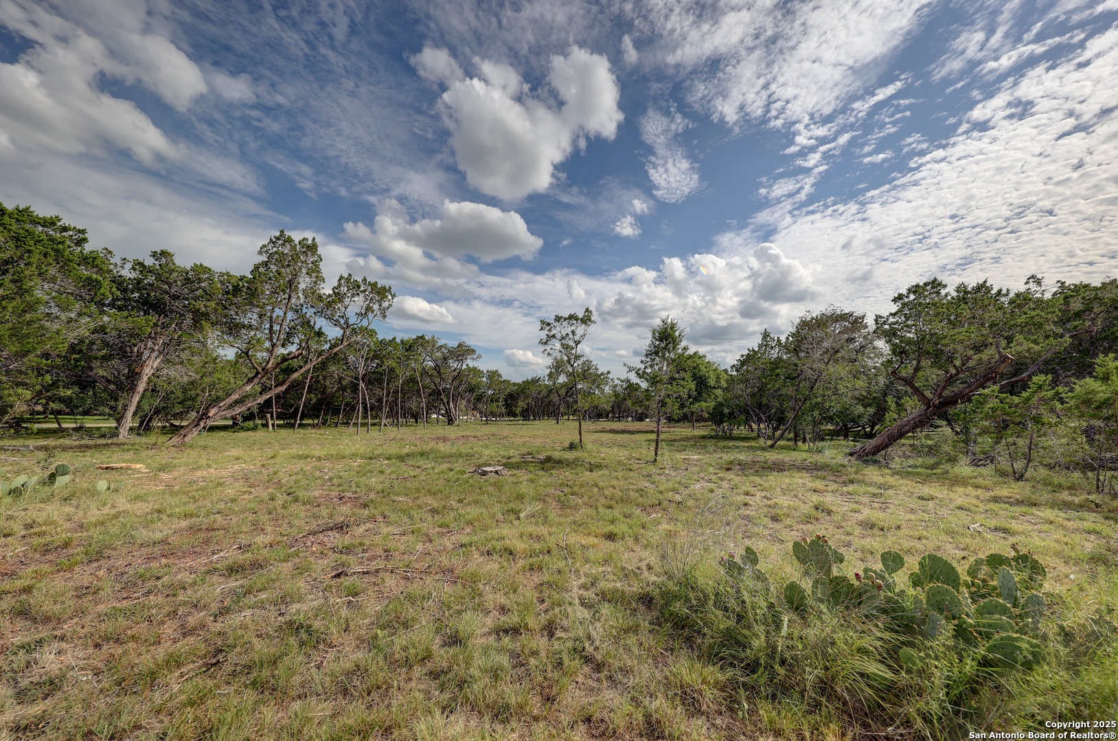 Lot 3 Heinen Bandera, TX 78003 - Photo 4 of 24 a view of a field with trees