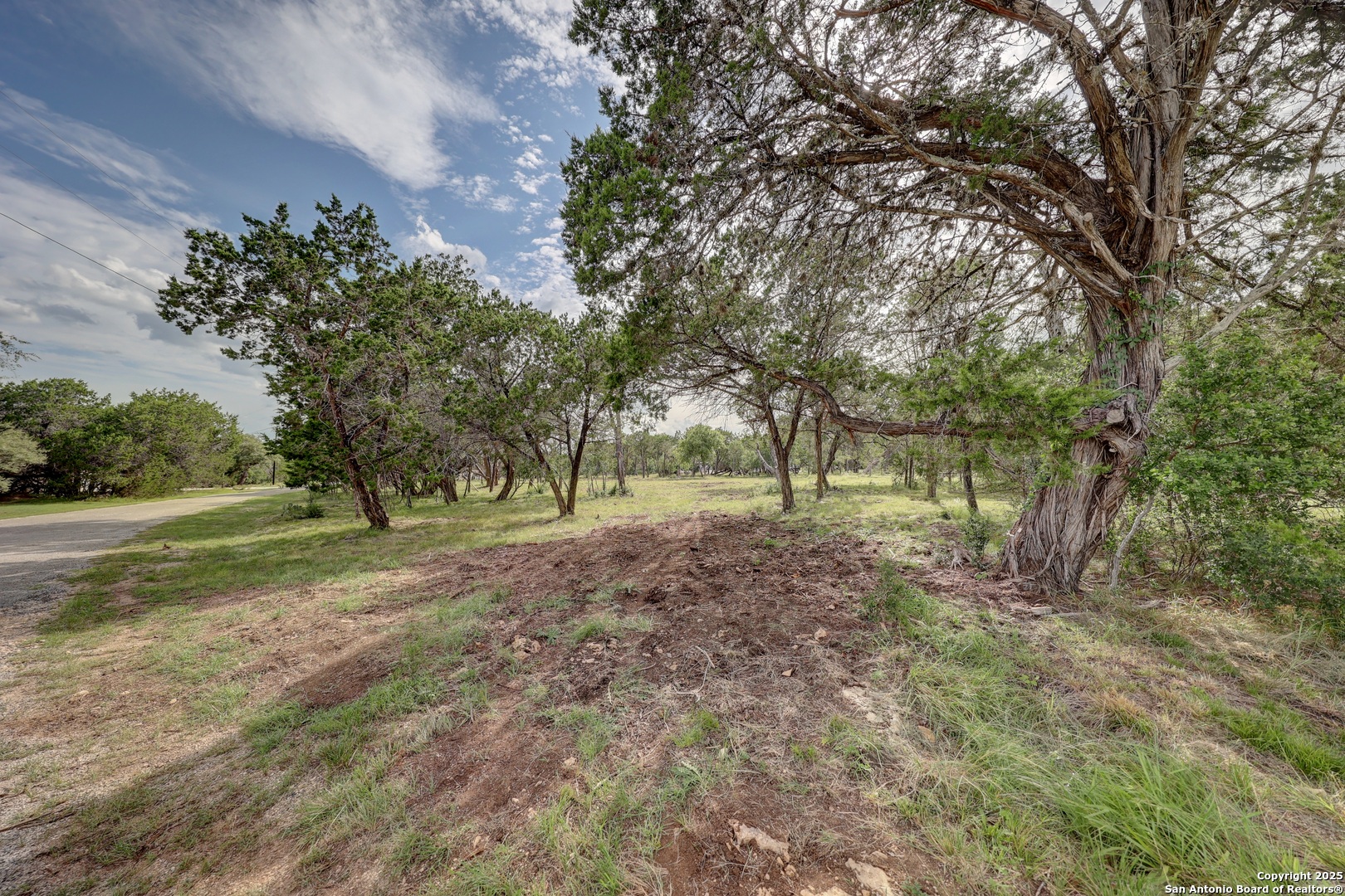 Lot 3 Heinen Bandera, TX 78003 - Photo 6 of 24 a view of a forest with trees