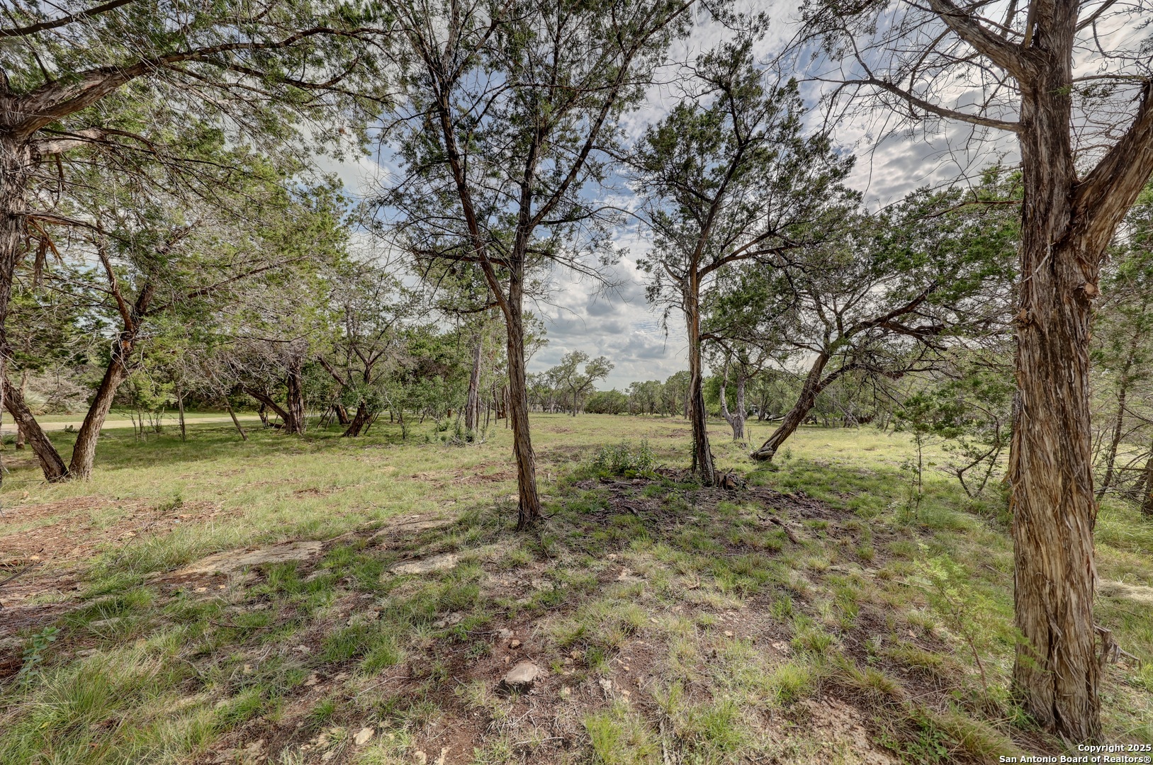 Lot 3 Heinen Bandera, TX 78003 - Photo 7 of 24 a view of a yard with a tree