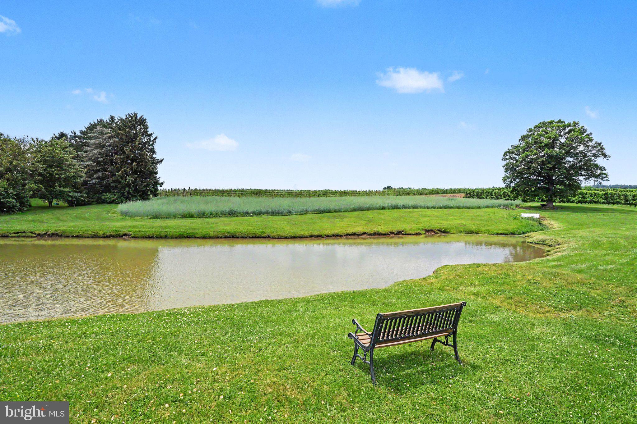 420 Carlisle Road Biglerville, PA 17307 - Photo 4 of 41 a view of a lake with a big yard