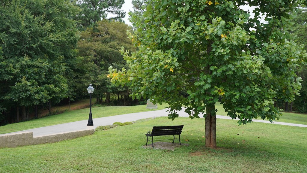 352 County Road 754 Riceville, TN 37370 - Photo 34 of 47 Gallery Image 34
