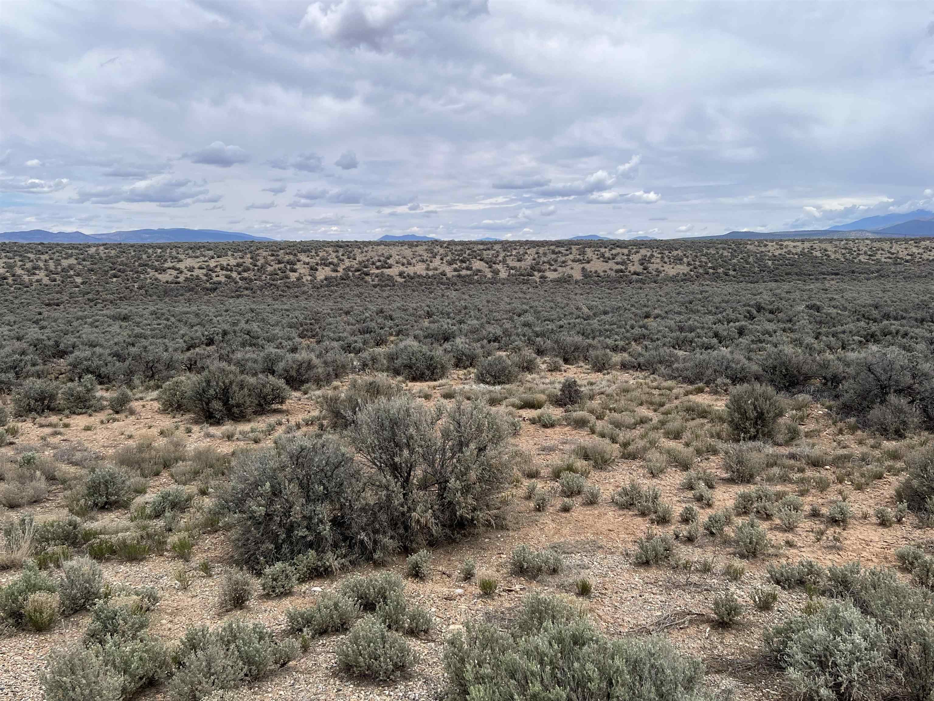 1 Bad Dog Road El Prado, NM 87529 - Photo 2 of 13 Gallery Image 2