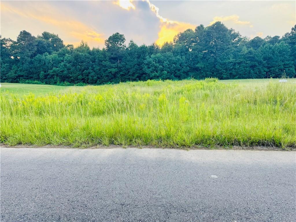 120 Meadow Lane Pollock, LA 71467 - Photo 1 of 3