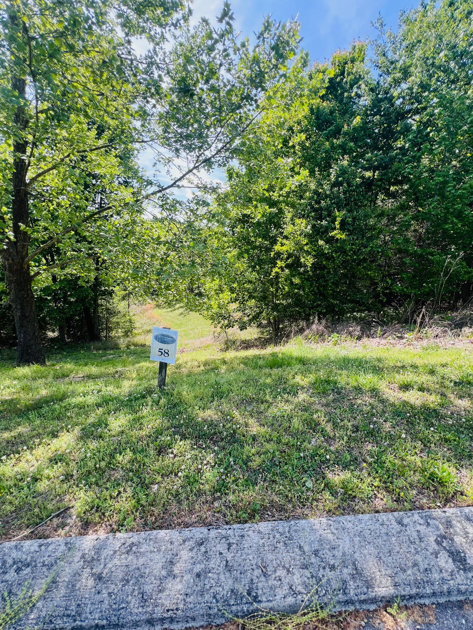 198 River Run Trail Spring City, TN 37381 - Photo 5 of 22 a view of a garden with a tree