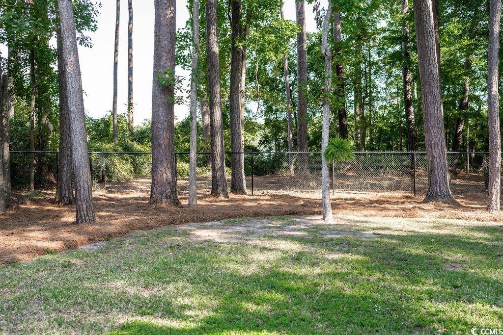 4346 Goude Street Murrells Inlet, SC 29576 - Photo 33 of 34 View of yard
