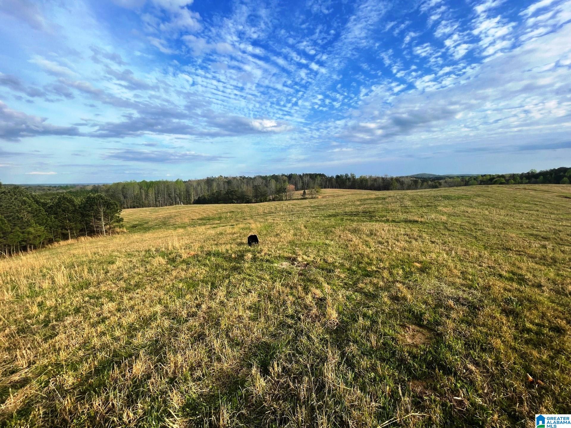 Oaks Chapel Road, Unit 76 Goodwater, AL 35072 - Photo 7 of 25
