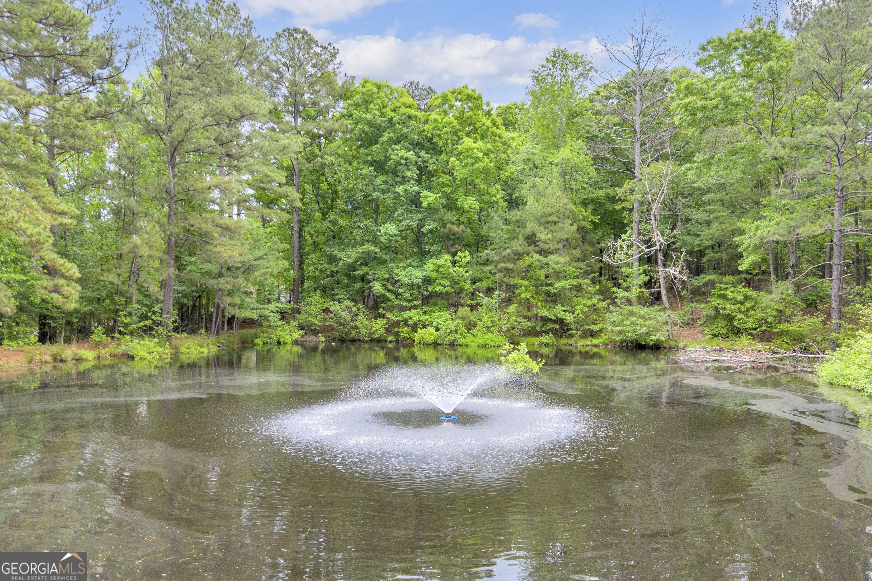 1597 Mercier Road Lincolnton, GA 30817 - Photo 31 of 40