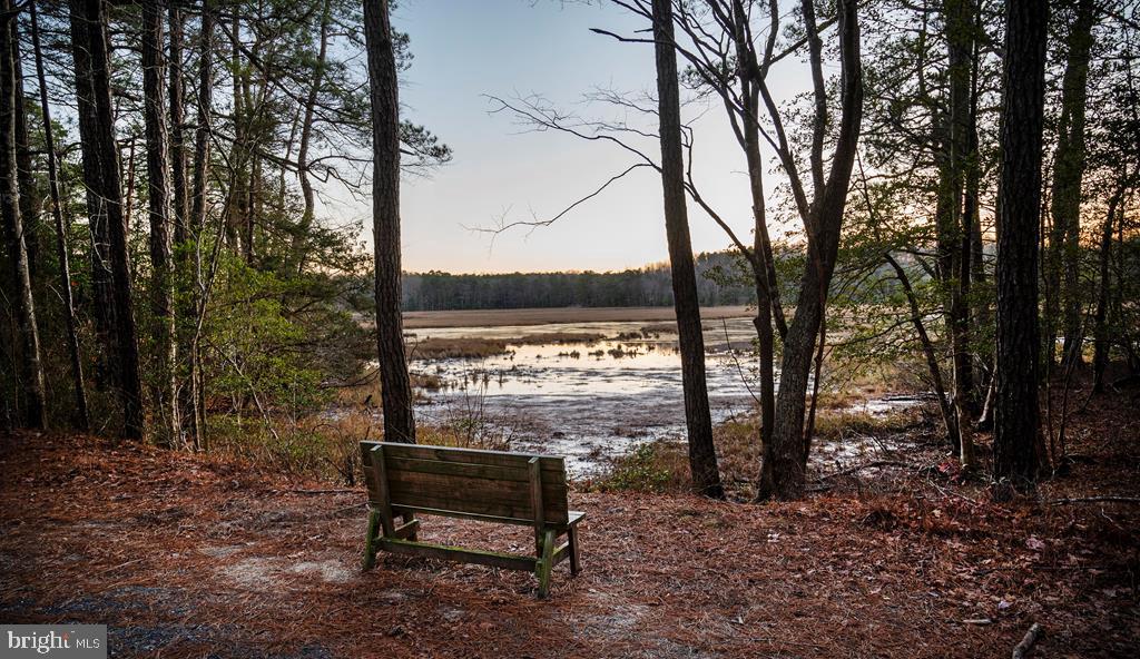 Lot 1361 Blackbeard Road Greenbackville, VA 23356 - Photo 12 of 27 a view of a bench in a backyard