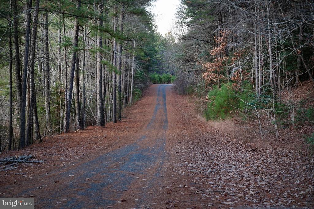 Lot 1361 Blackbeard Road Greenbackville, VA 23356 - Photo 14 of 27 a view of a backyard with pathway