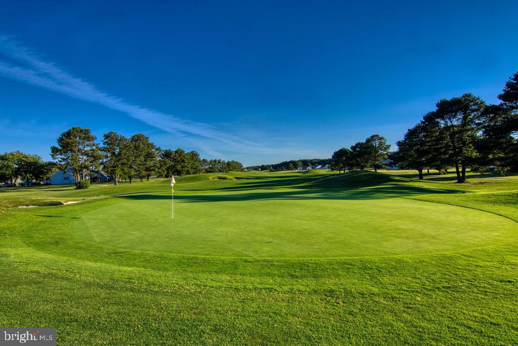Lot 1361 Blackbeard Road Greenbackville, VA 23356 - Photo 10 of 27 a view of a golf course with a lake