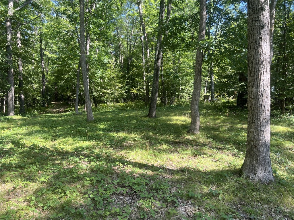 27457 Shake Lane Webster, WI 54893 - Photo 15 of 17