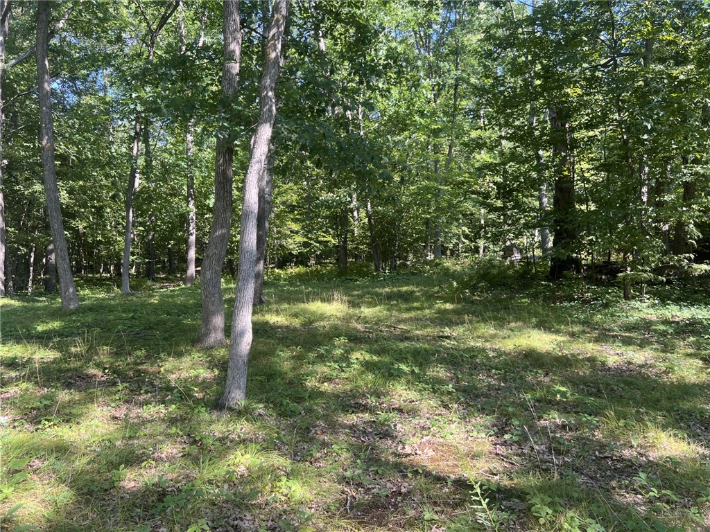 27457 Shake Lane Webster, WI 54893 - Photo 5 of 17