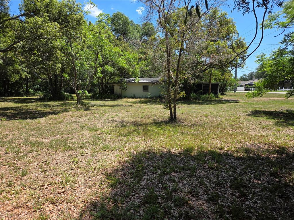 3810 East Lumsden Road Valrico, FL 33594 - Photo 3 of 4