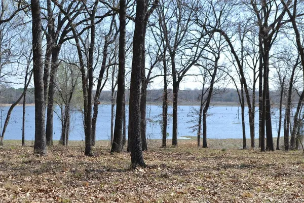 a view of a backyard of the house