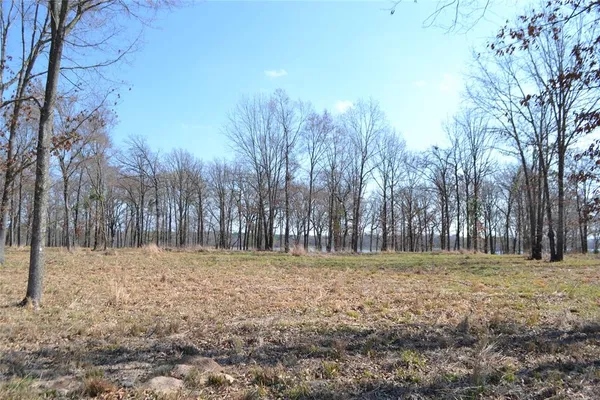 a view of outdoor space with trees