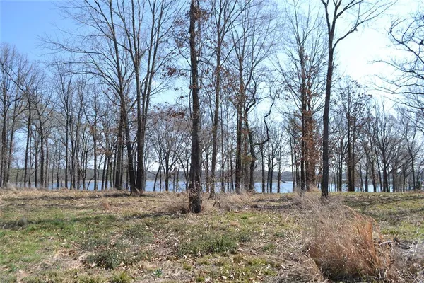a view of outdoor space with trees