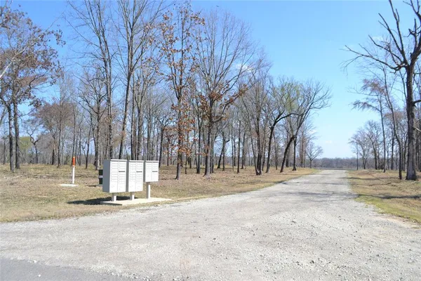 a view of road with trees