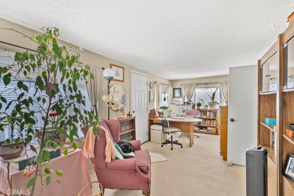 23328 Brookside Road Crestline, CA 92325 - Photo 19 of 40 a view of a livingroom with furniture and a potted plant