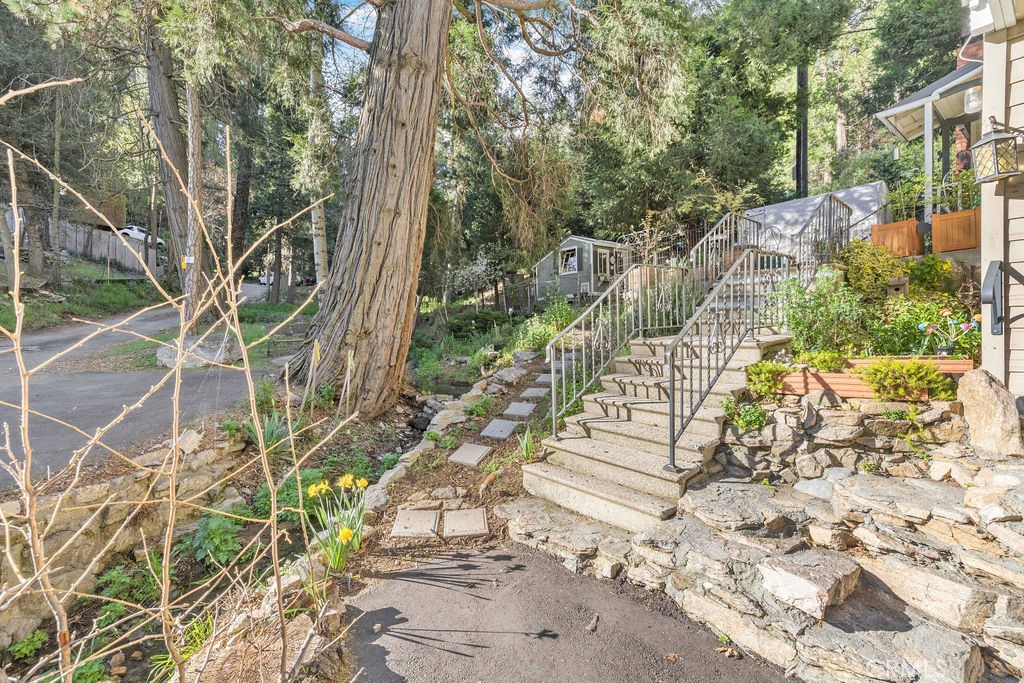23328 Brookside Road Crestline, CA 92325 - Photo 7 of 40 a view of a yard with plants and large trees