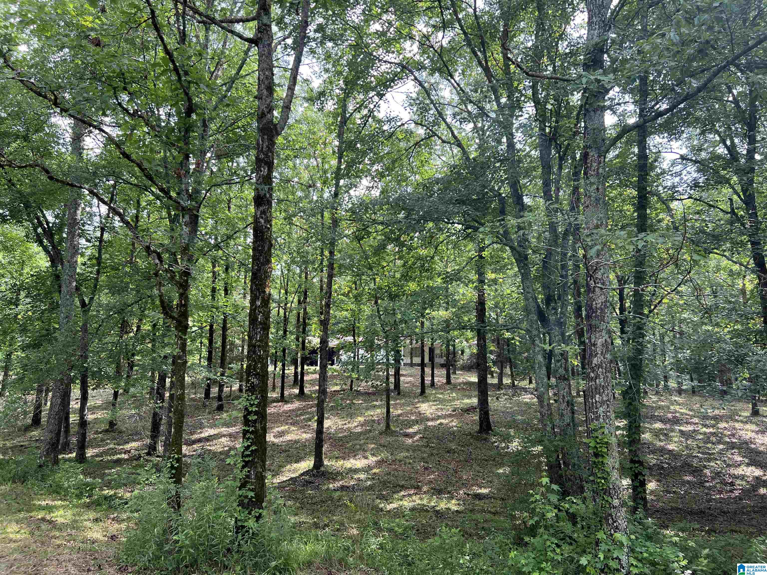 330 Mitchellville Road Ohatchee, AL 36271 - Photo 10 of 10