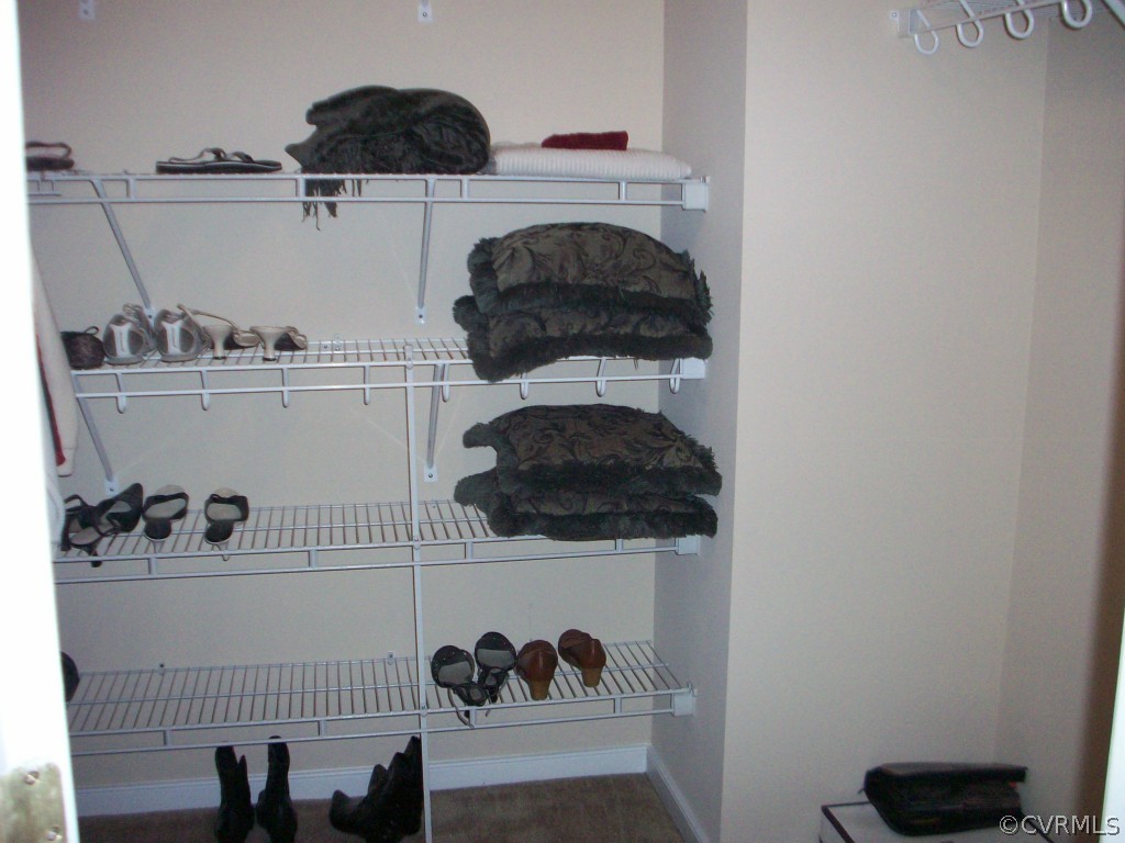 15813 Sandwave Road Chester, VA 23831 - Photo 13 of 24 a close view of shoes and a potted plant on a shelf
