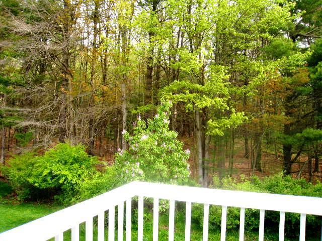 17854 Bramer Lane Spring Lake, MI 49456 - Photo 20 of 24 Additional Photo