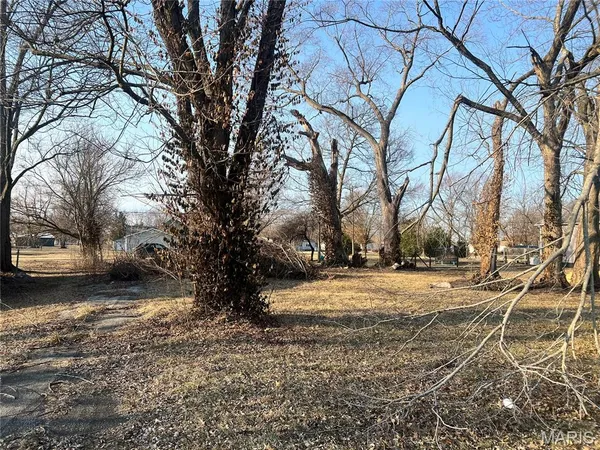 $5,000 | Tbd West Main Street, Coffeen, IL 62017