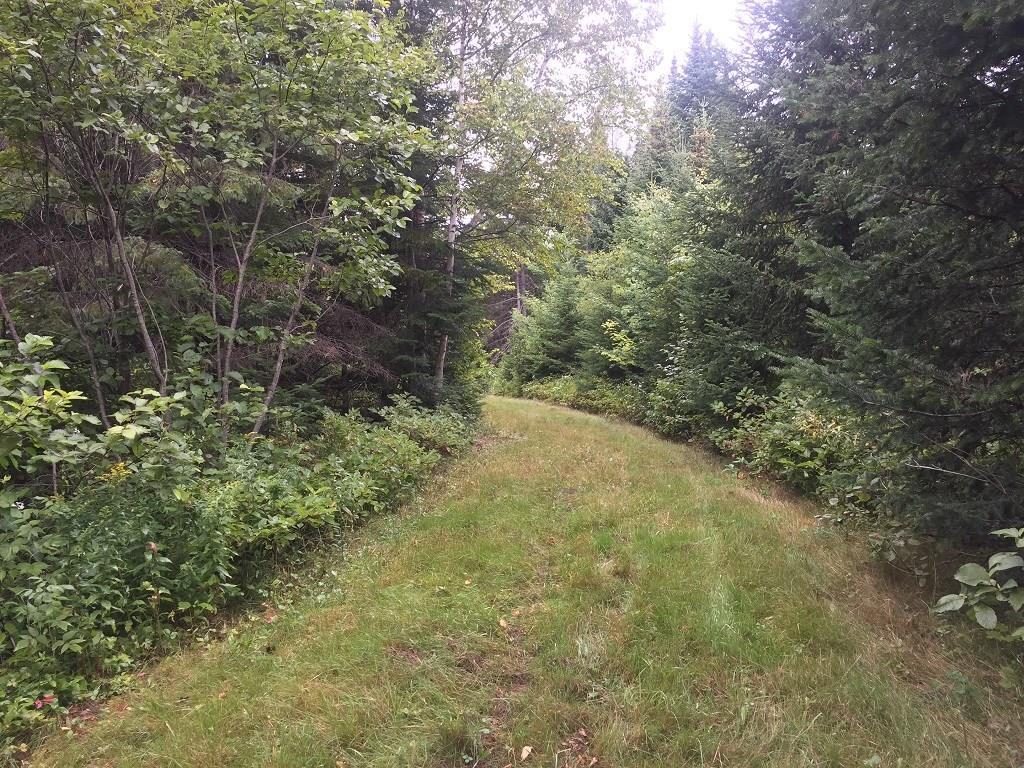 0 West Road New Sweden, ME 04762 - Photo 13 of 22 Woods road and ITS 81 snowmobile trail