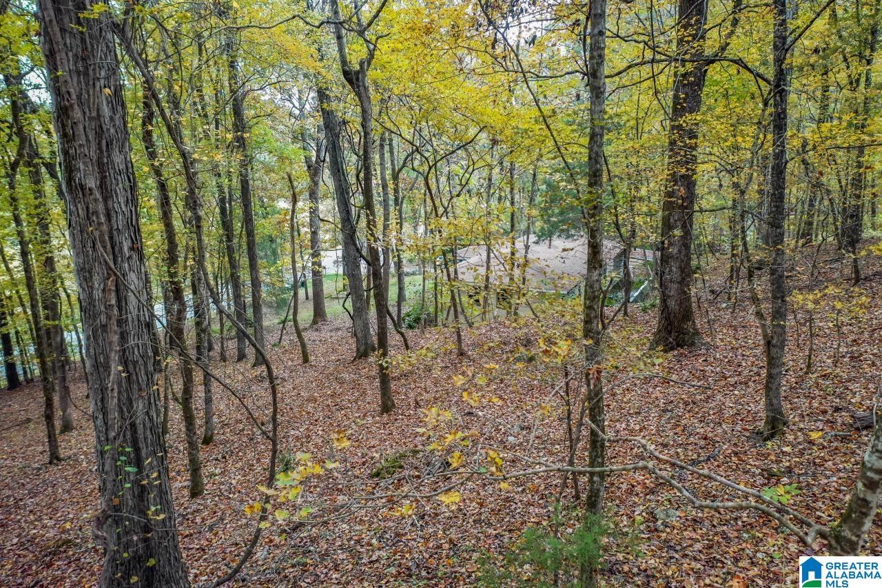 3210 Spring Creek Road Calera, AL 35040 - Photo 27 of 34 Gallery Image 27