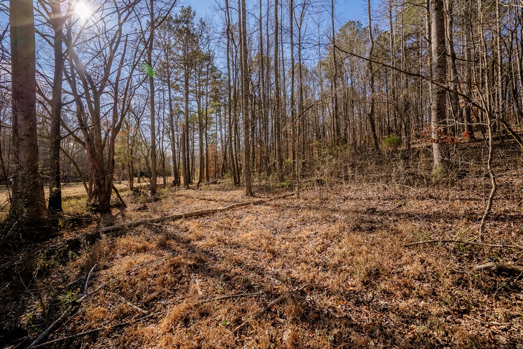 Lot 42 Quarles Road Rocky Face, GA 30740 - Photo 19 of 27 Gallery Image 19
