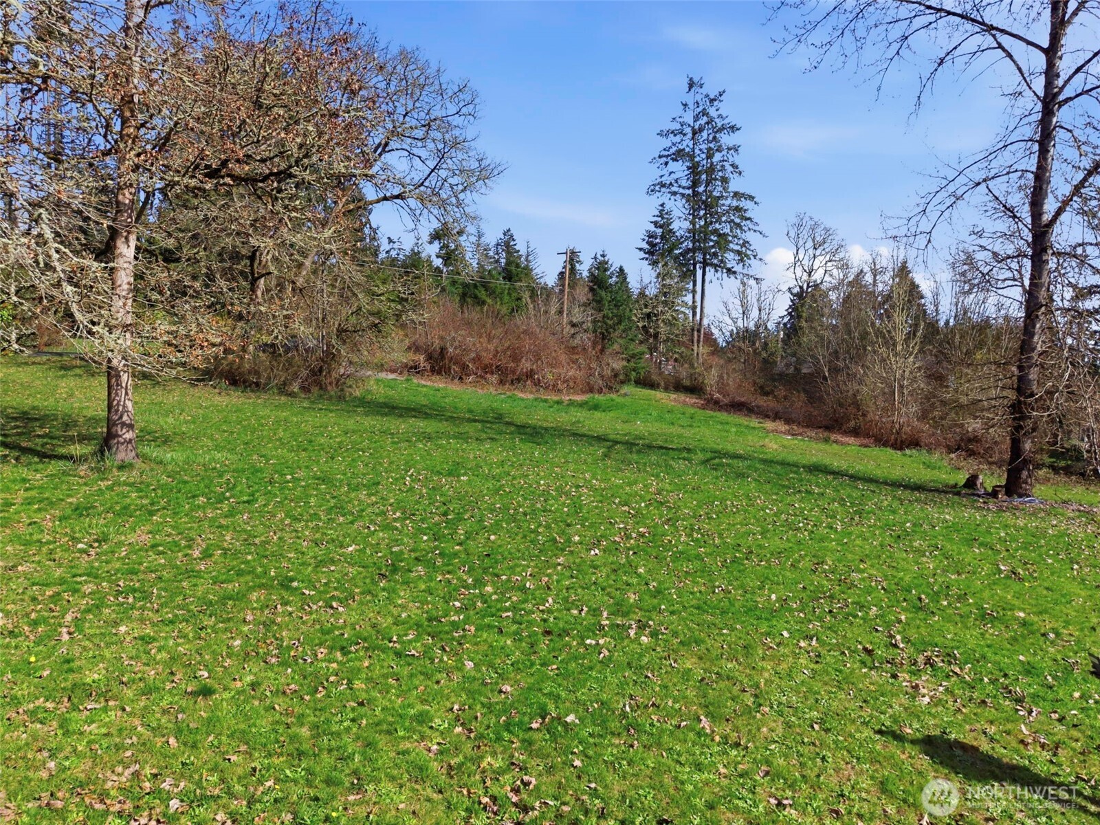 0 Wallace Road Chehalis, WA 98532 - Photo 4 of 12