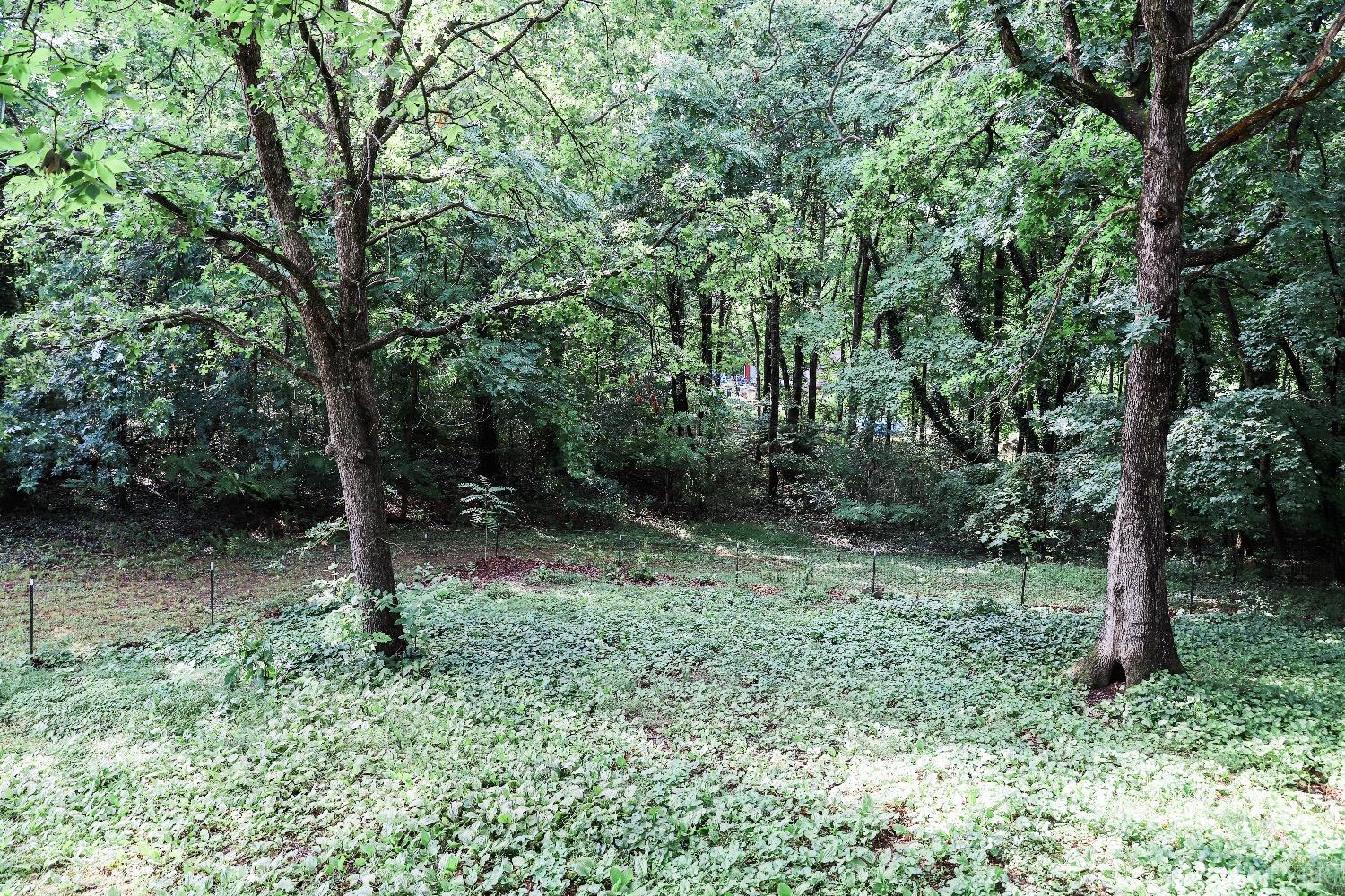 483 Pauls Road Rustburg, VA 24588 - Photo 16 of 21 a view of outdoor space and garden