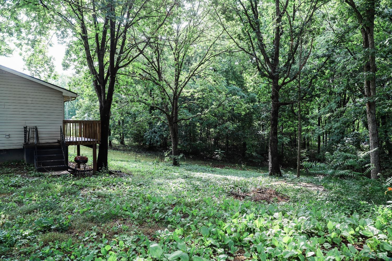 483 Pauls Road Rustburg, VA 24588 - Photo 18 of 21 a view of outdoor space with deck and tree