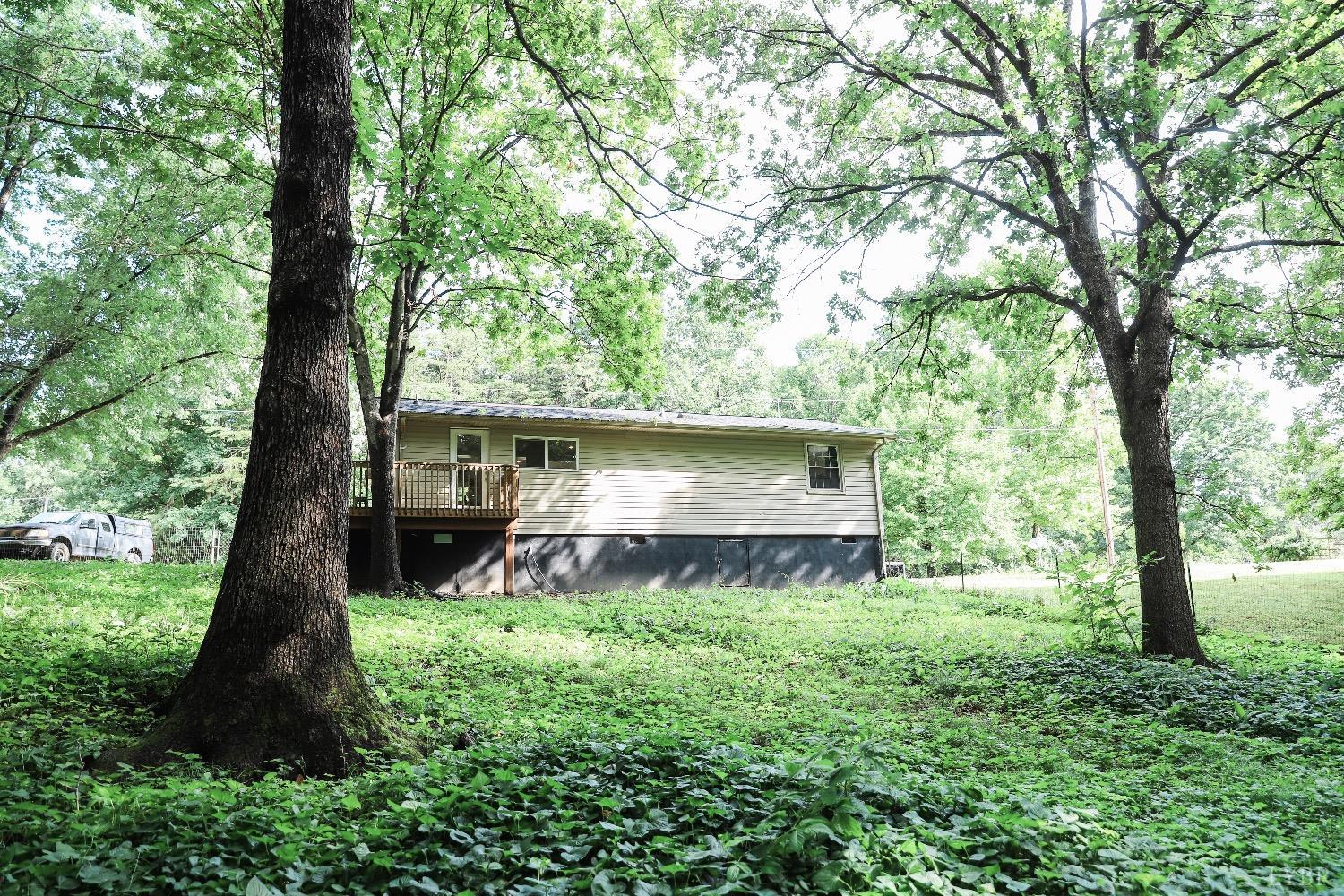 483 Pauls Road Rustburg, VA 24588 - Photo 20 of 21 a large tree in the garden in the back