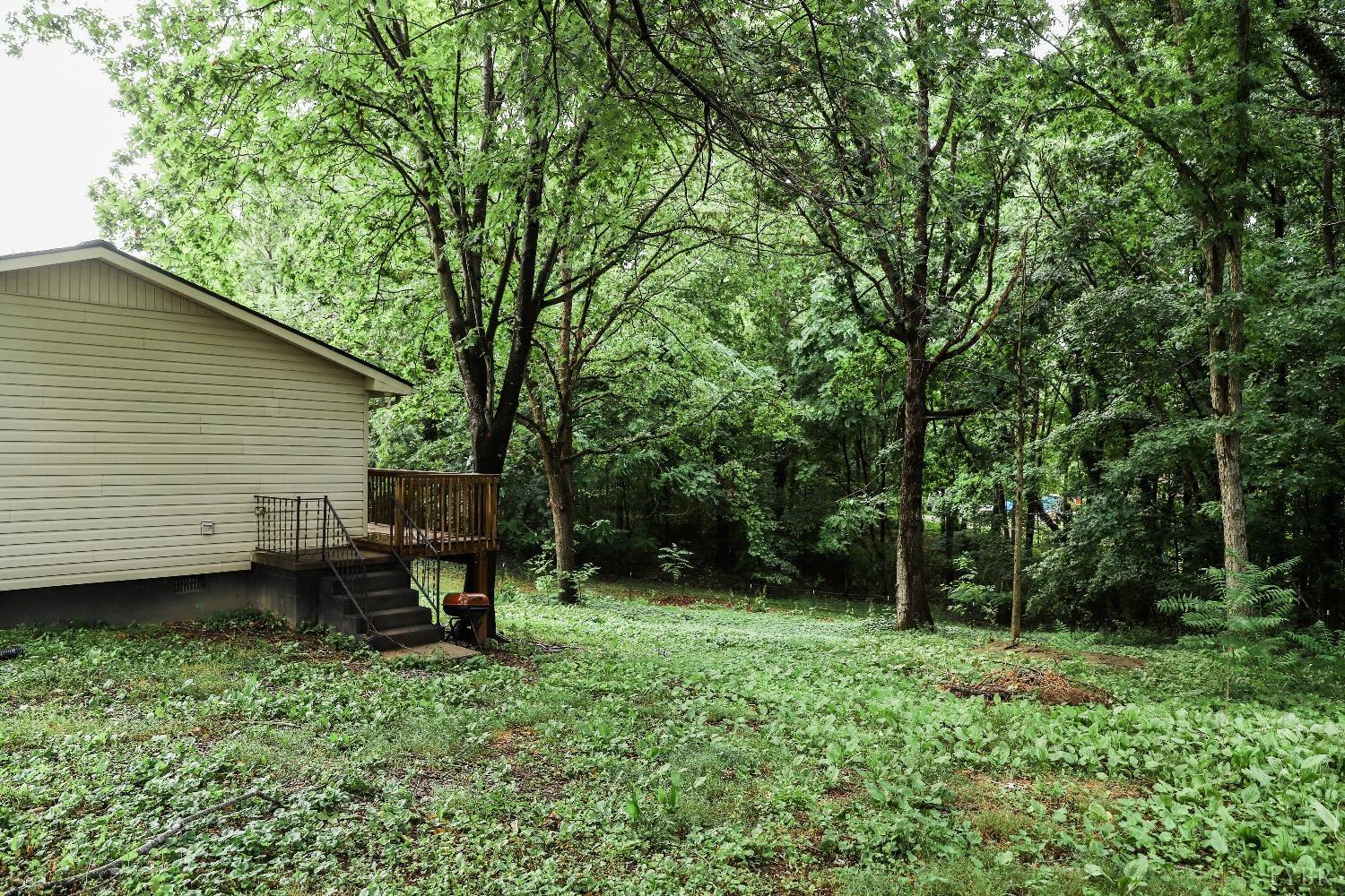 483 Pauls Road Rustburg, VA 24588 - Photo 3 of 21 a view of a backyard with a large tree