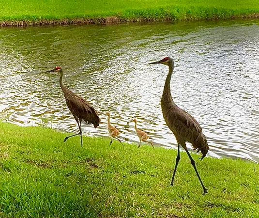 $299,900 | 9851 Perfect Drive, Unit 151, Port St. Lucie, FL 34986