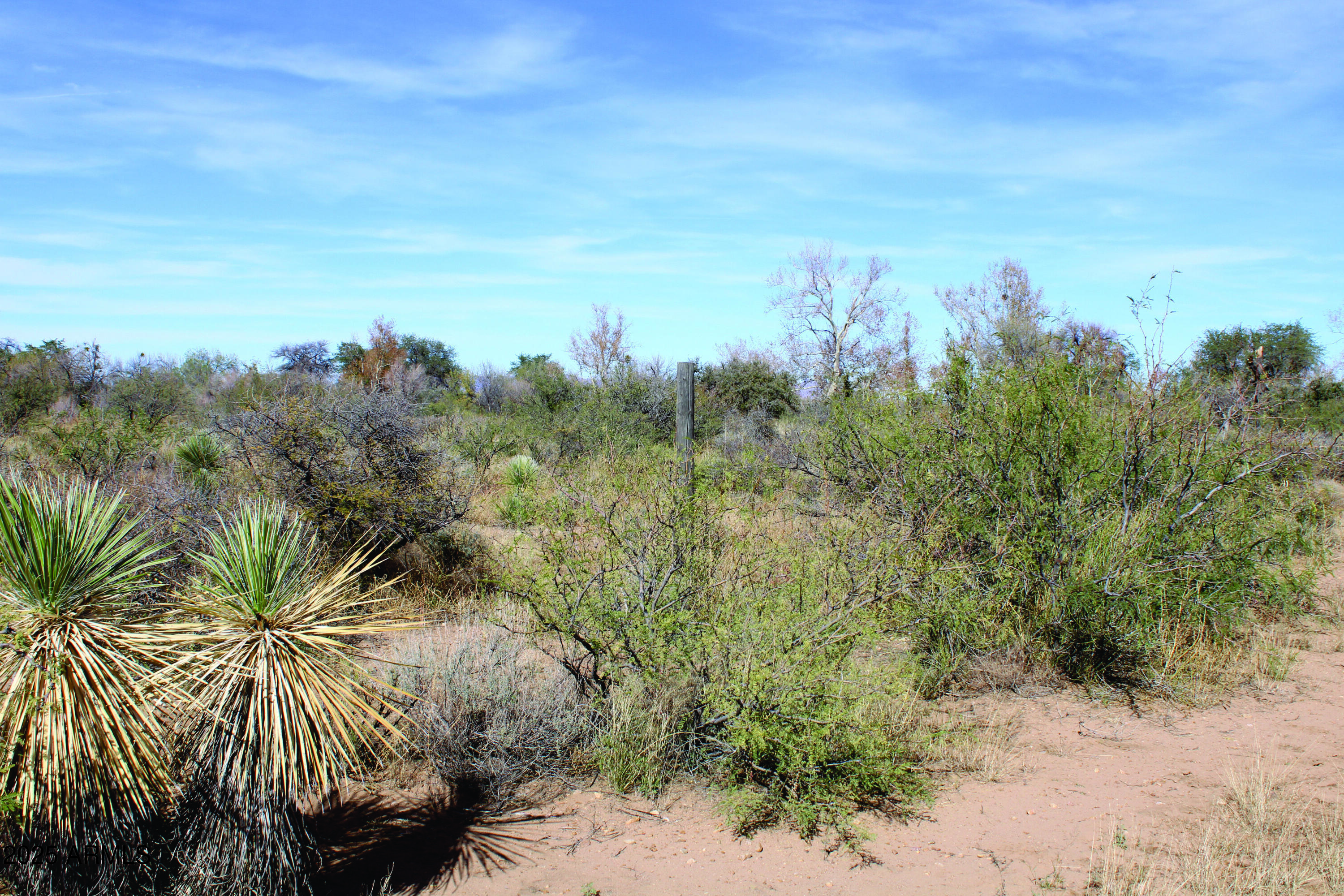 10-acres East Roadrunner Road Pearce, AZ 85625 - Photo 29 of 37 IMG_0804.JPG