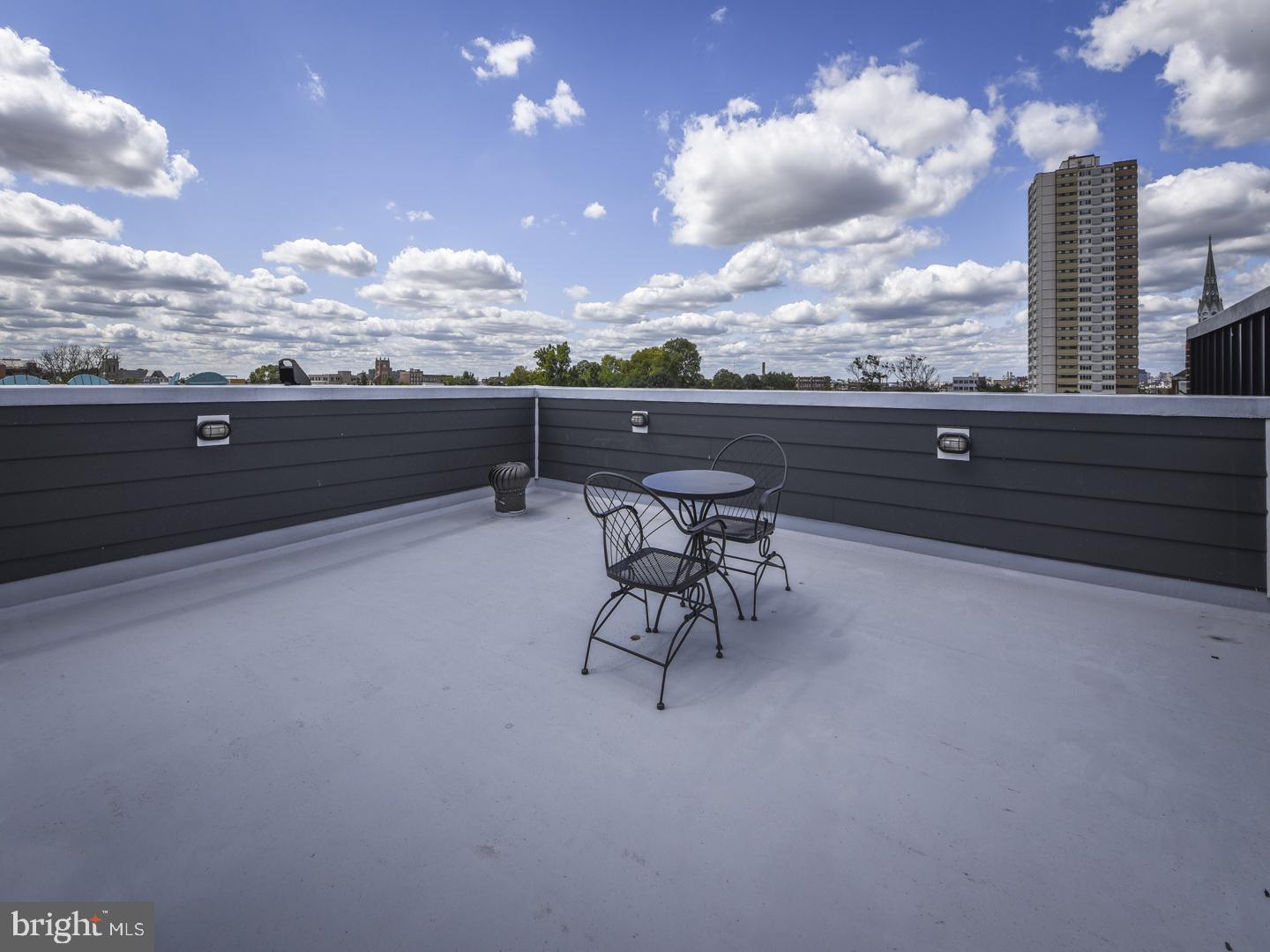 1022 South 2nd Street, Unit 4 Philadelphia, PA 19147 - Photo 23 of 31 Roof Deck