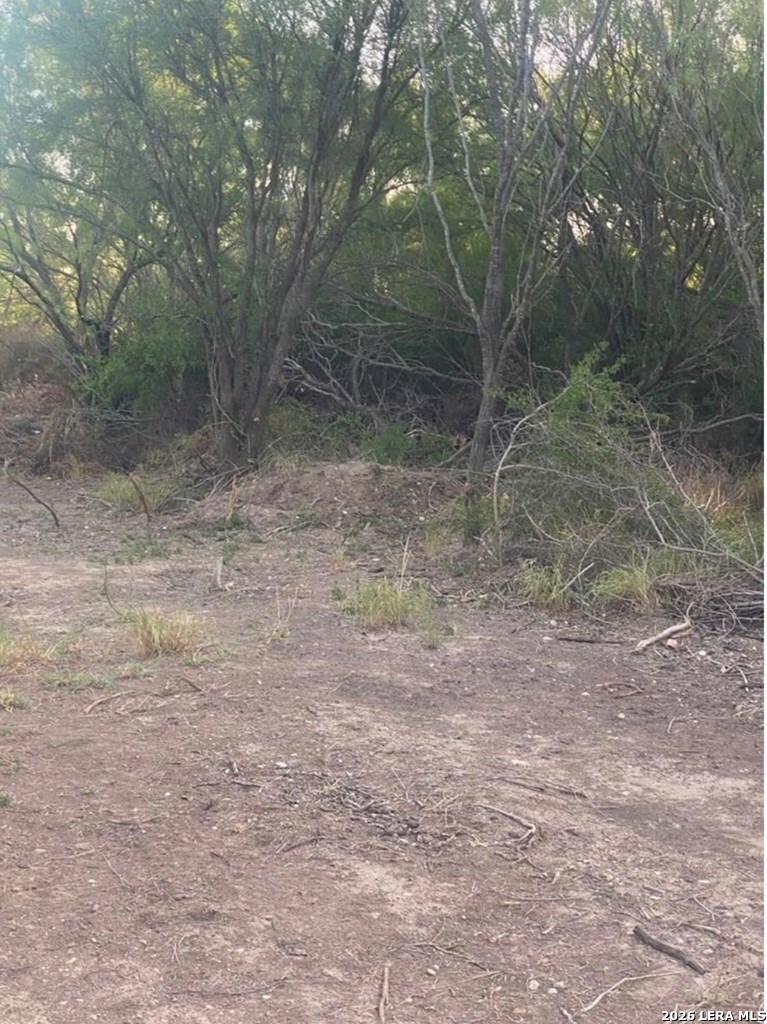 490 D D Chavarria Road Eagle Pass, TX 78852 - Photo 3 of 5