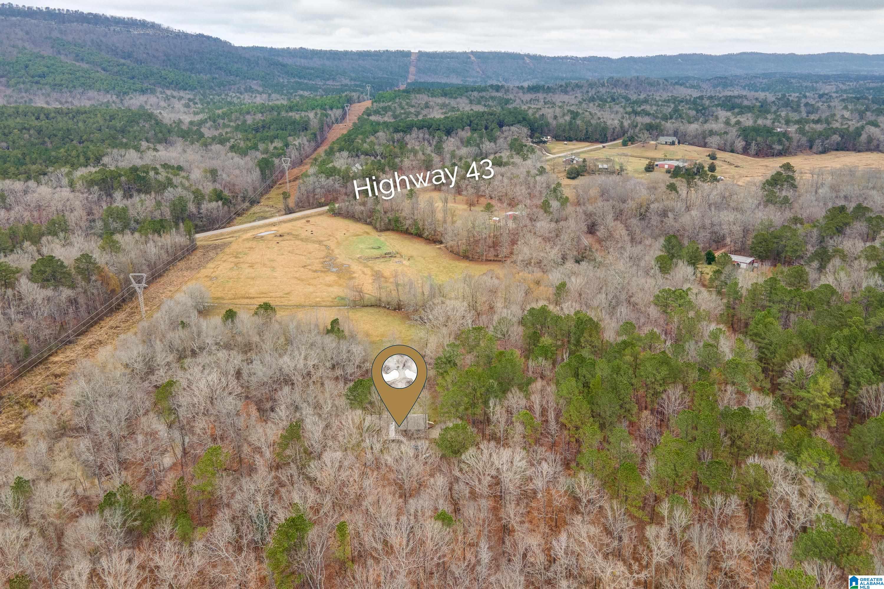 384 Moss Rock Trail Sterrett, AL 35147 - Photo 46 of 47