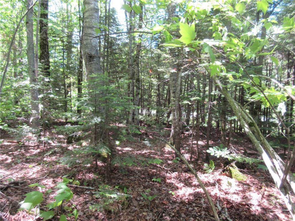 27 A Drew Road Greenville, ME 04441 - Photo 8 of 10 Photo