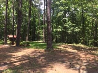 340 Holloman Road Gray, GA 31032 - Photo 11 of 22 a view of a tree in the middle of a yard
