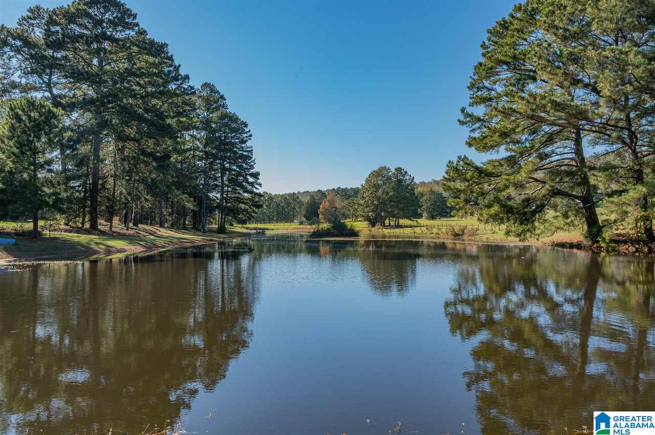 1300 Slasham Road Ashville, AL 35953 - Photo 9 of 50
