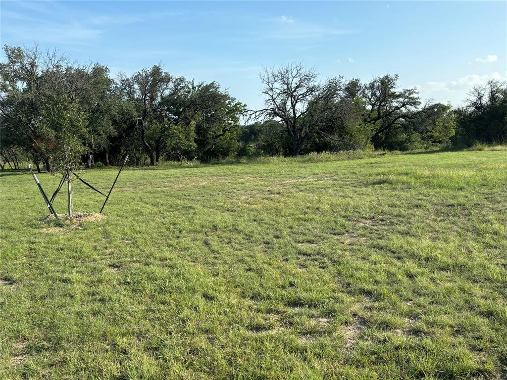 Tbd Lot 103 Tbd Court Comanche, TX 76442 - Photo 2 of 6