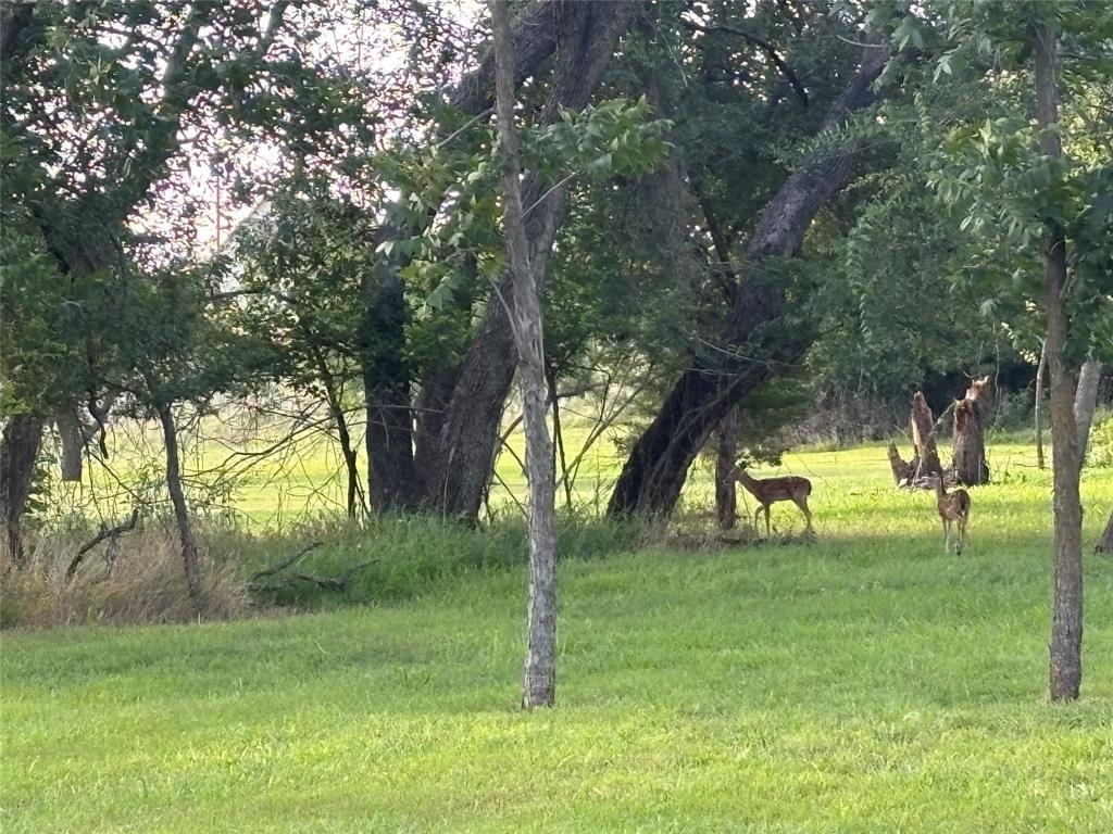 Tbd Lot 103 Tbd Court Comanche, TX 76442 - Photo 6 of 6