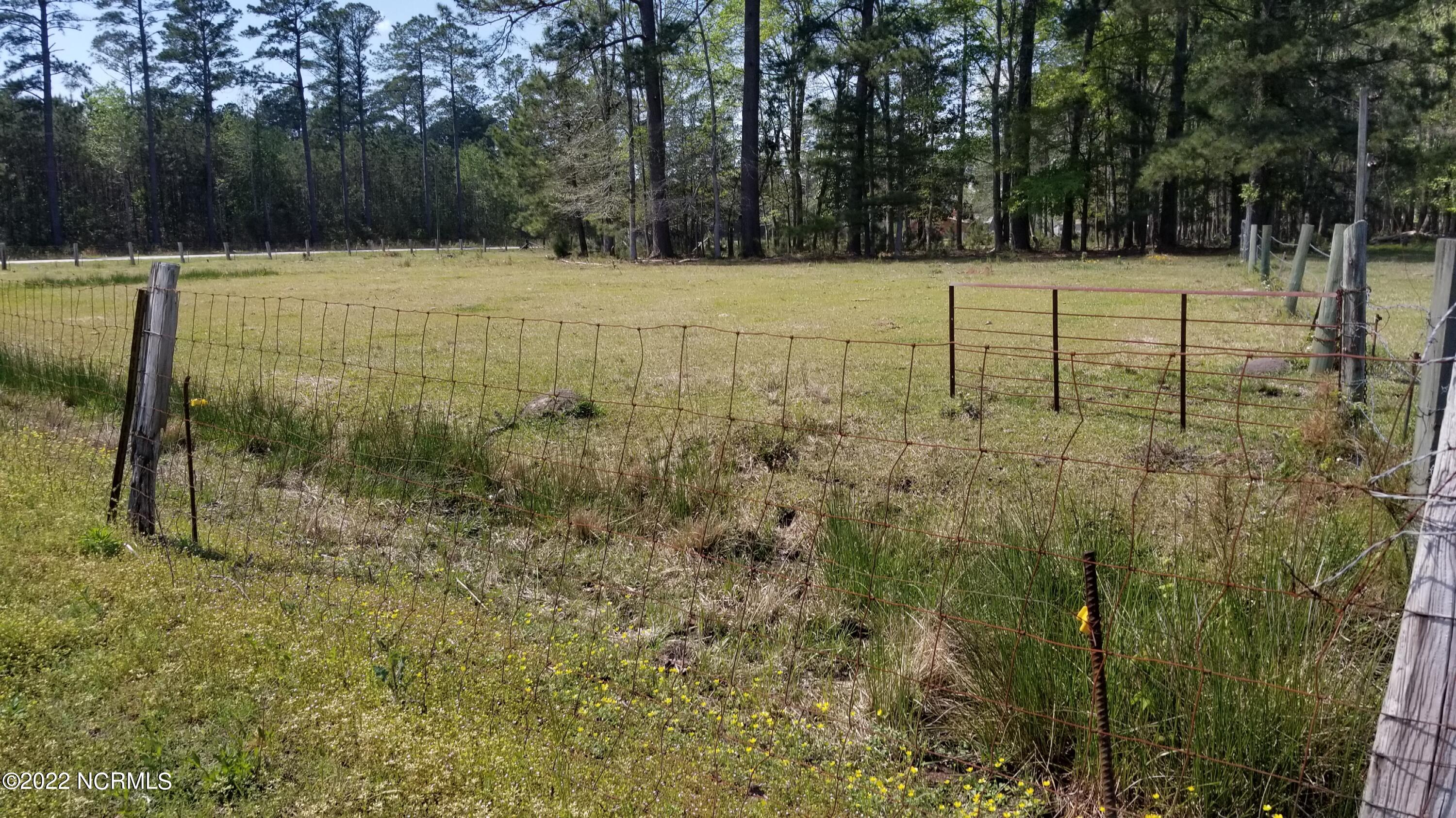 4558 Wilcox Road New Bern, NC 28562 - Photo 13 of 17 Back of Property