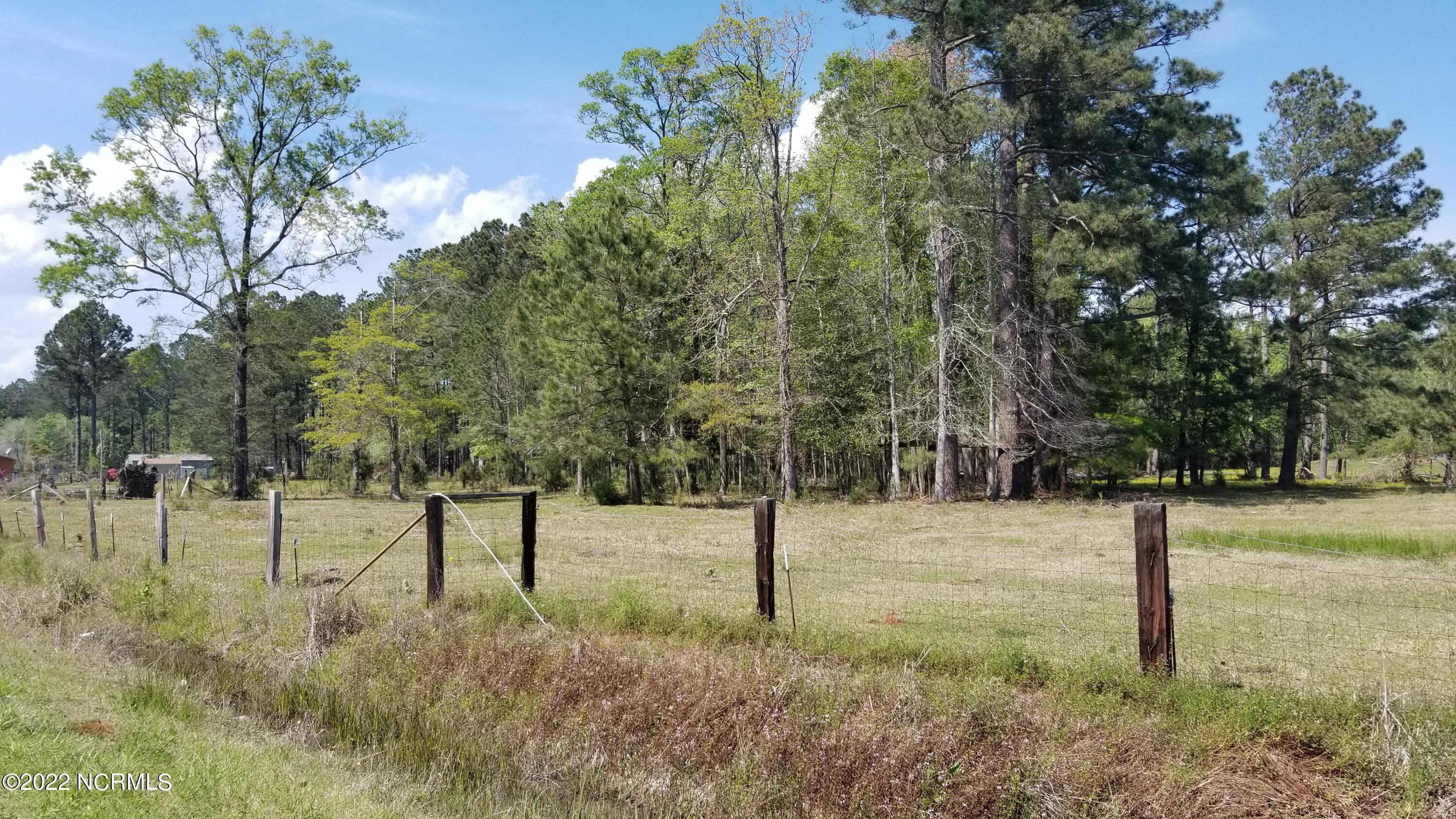 4558 Wilcox Road New Bern, NC 28562 - Photo 10 of 17 View from Wilcox Rd.
