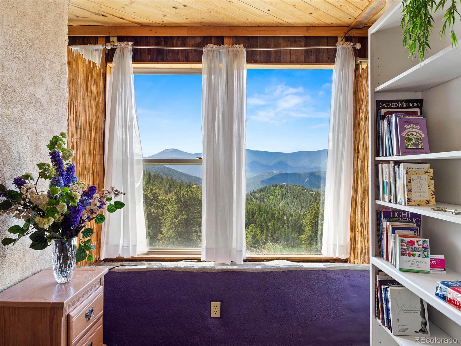 265 Red Tail Ridge Road Idaho Springs, CO 80452 - Photo 22 of 40 Gallery Image 22