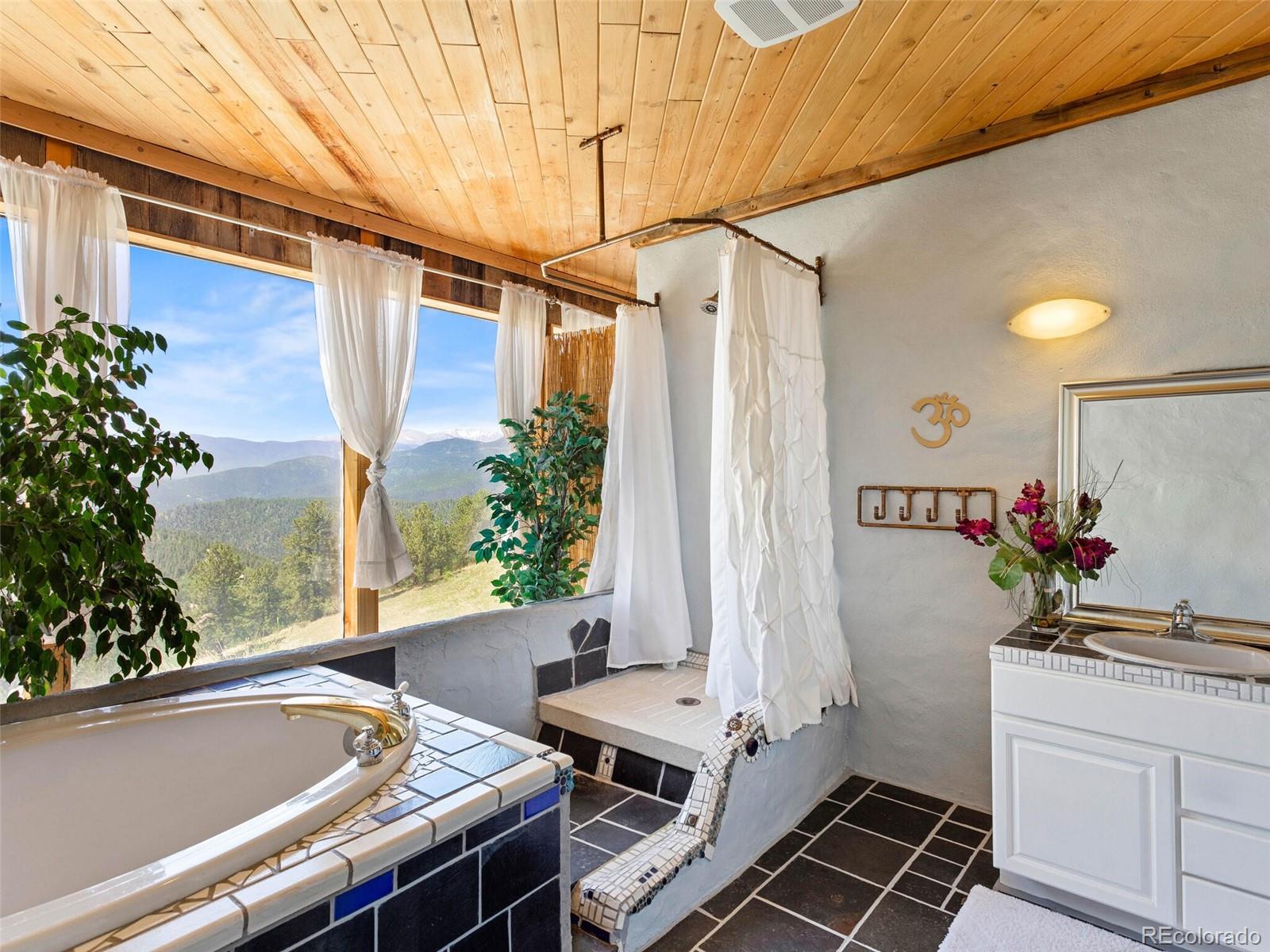 265 Red Tail Ridge Road Idaho Springs, CO 80452 - Photo 26 of 40 Gallery Image 26